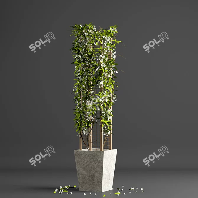 Tropical Grid Indoor Plant 3D model image 1