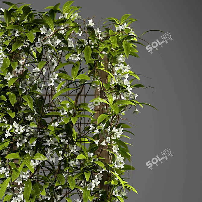 Tropical Grid Indoor Plant 3D model image 2