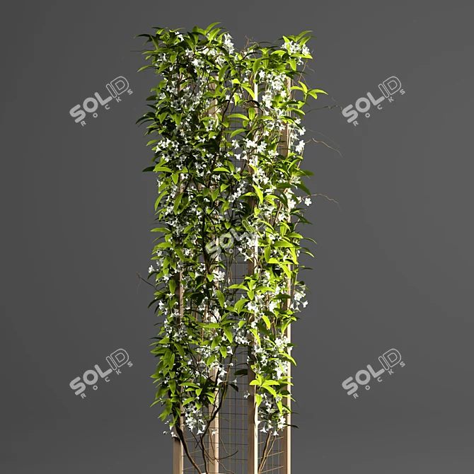 Tropical Grid Indoor Plant 3D model image 3