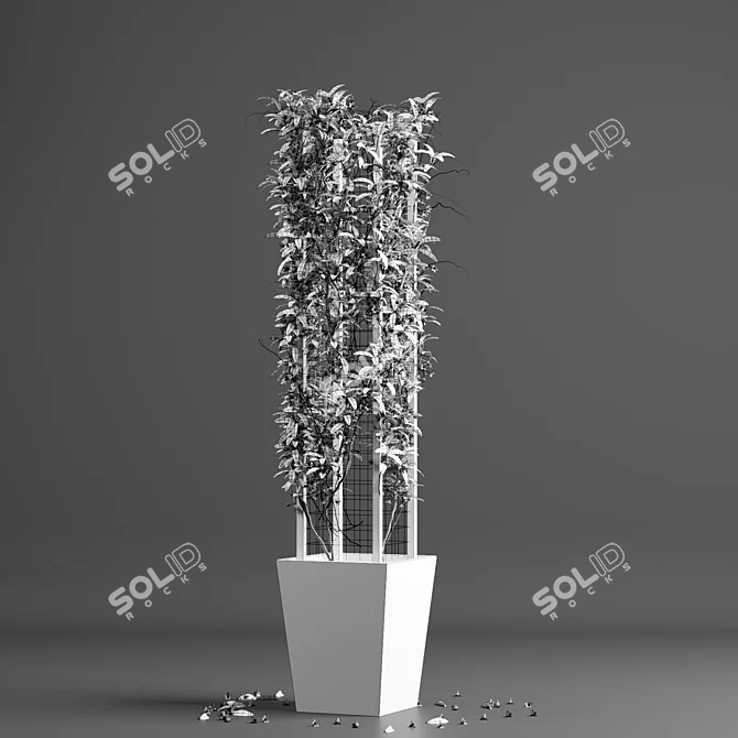 Tropical Grid Indoor Plant 3D model image 4