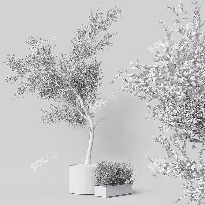 Premium Indoor Plant 010 3D model image 4