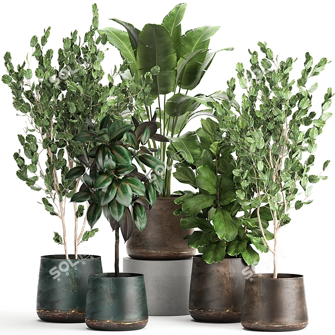 Exotic Plant Collection in Reclaimed Iron Pots 3D model image 1