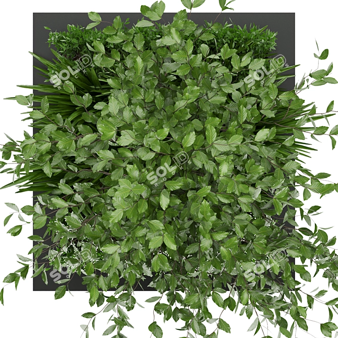 Premium Plant Collection: Volume 164 3D model image 2