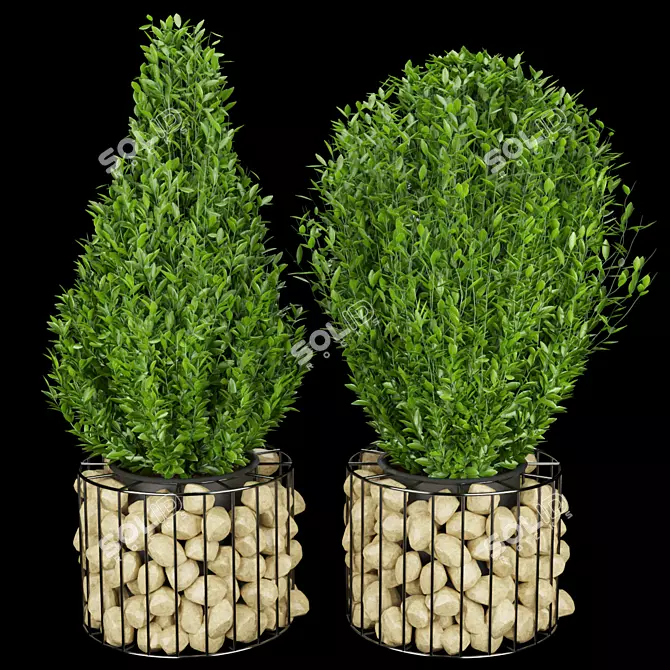 Premium Plant Collection: Vol. 169 3D model image 1