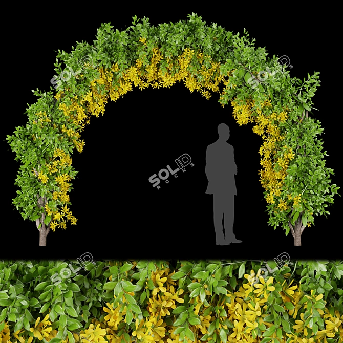 Premium Plant Collection Vol. 171 3D model image 1