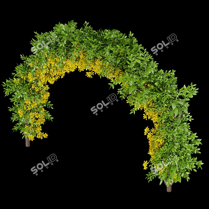 Premium Plant Collection Vol. 171 3D model image 2