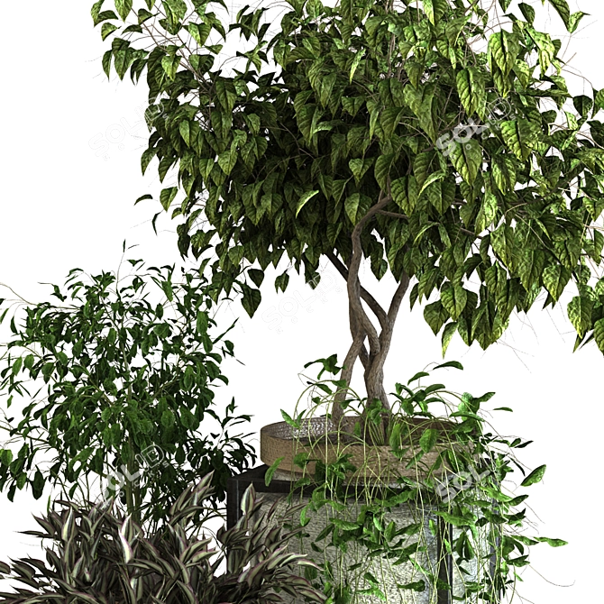 Botanical Greenery Set 3D model image 8