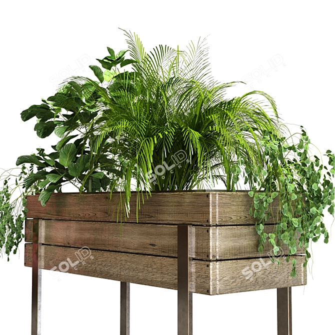 Green Oasis Plant Set 3D model image 4