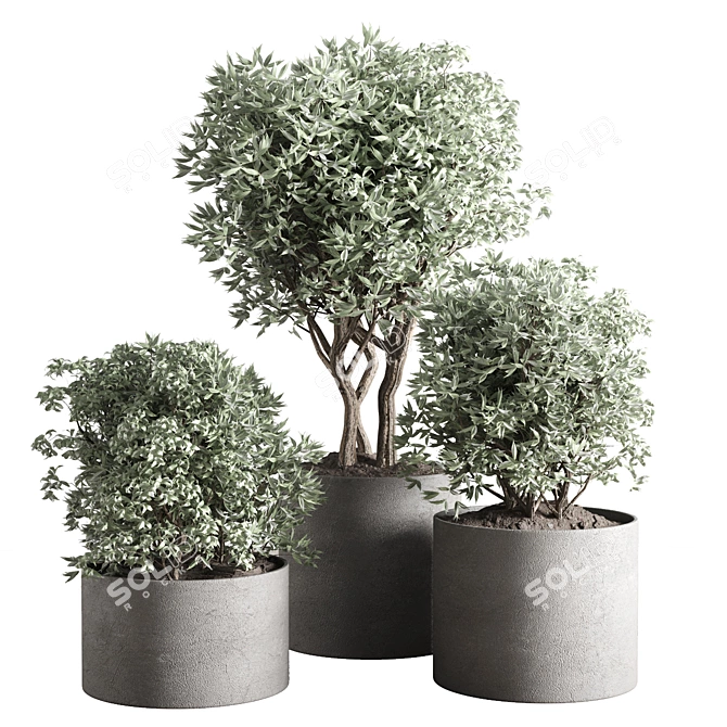 Title: Concrete Vase Collection for Outdoor Plants 3D model image 1