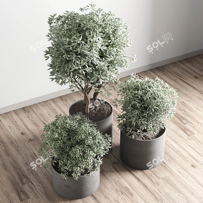 Title: Concrete Vase Collection for Outdoor Plants 3D model image 3