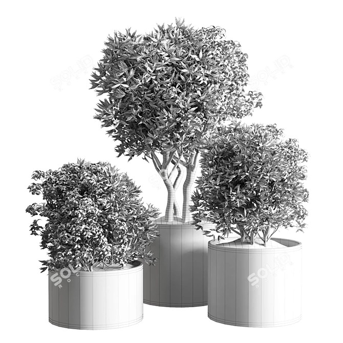 Title: Concrete Vase Collection for Outdoor Plants 3D model image 5
