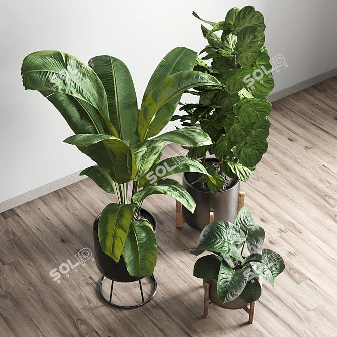 Elegant Indoor Plant Vase 3D model image 1