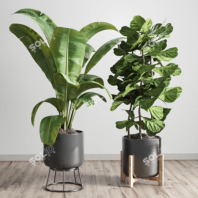 Elegant Indoor Plant Vase 3D model image 2