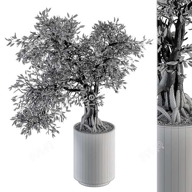 207 Indoor Big Bonsai Plant in Pot 3D model image 5