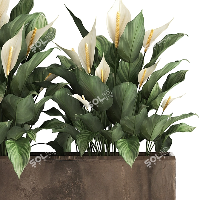 Metallic Pot Plant Collection 3D model image 2