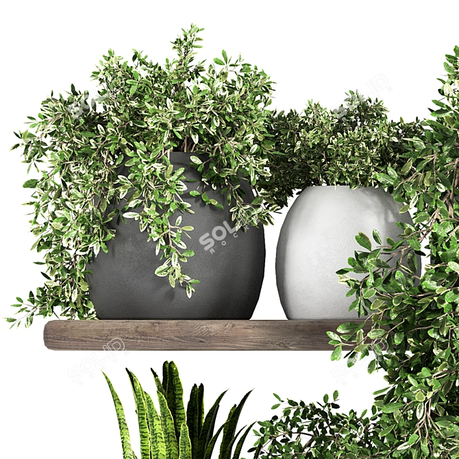 Fabulous Plant Shelfies: Stylish and Functional 3D model image 2