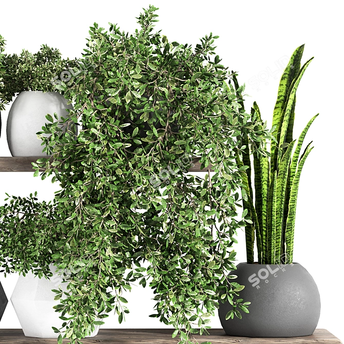 Fabulous Plant Shelfies: Stylish and Functional 3D model image 3