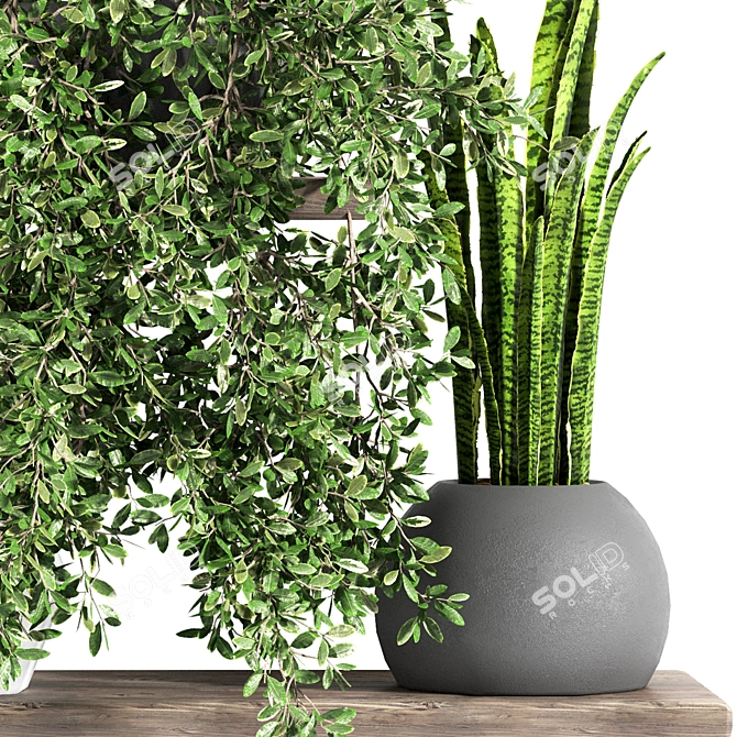 Fabulous Plant Shelfies: Stylish and Functional 3D model image 5