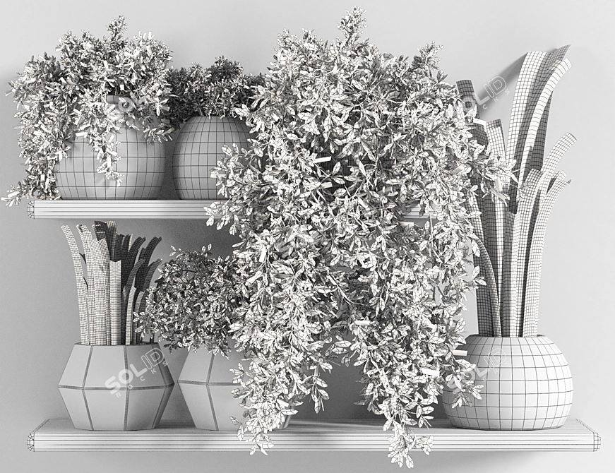 Fabulous Plant Shelfies: Stylish and Functional 3D model image 6