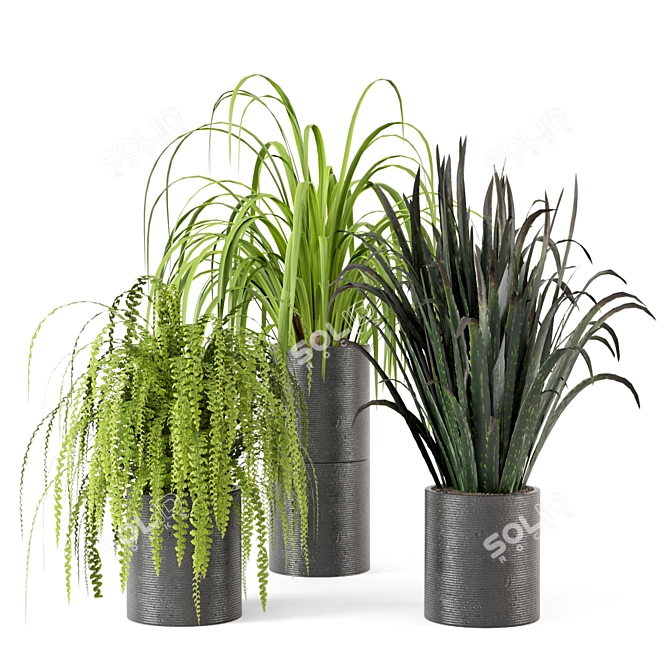 Lush Indoor Greenery - Set 012 3D model image 1