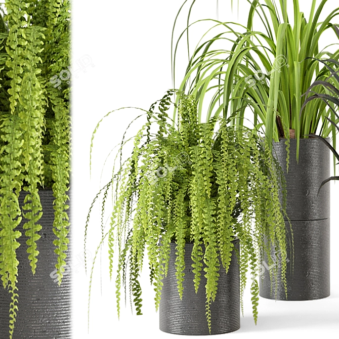 Lush Indoor Greenery - Set 012 3D model image 4