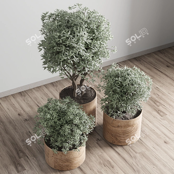 Wooden Vase Indoor Plant Collection 3D model image 3