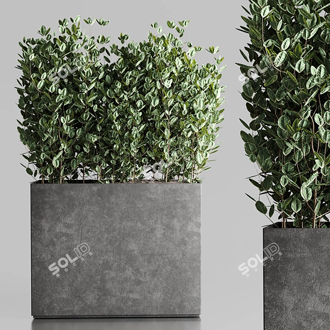 Outdoor Plant Collection: 25 Concrete Vase 3D model image 1