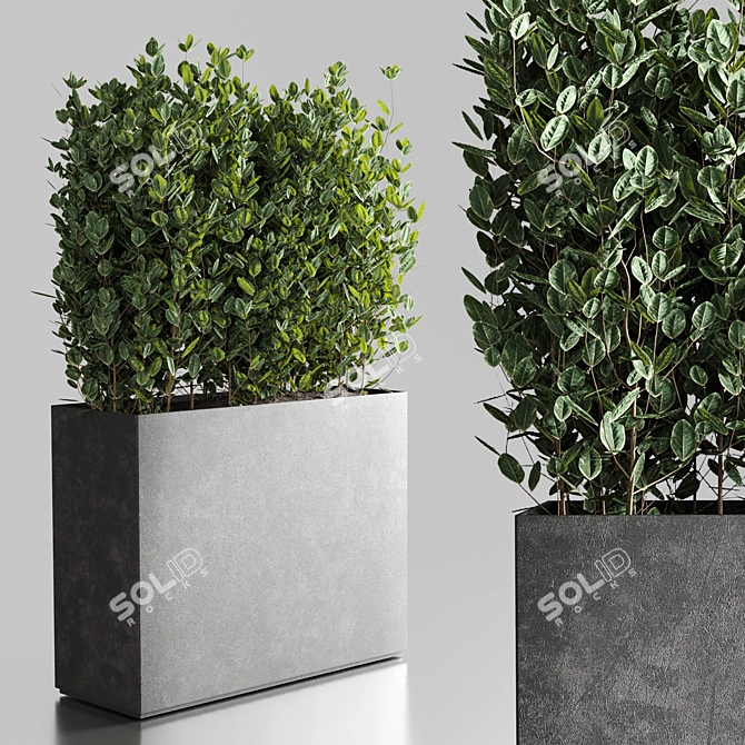 Outdoor Plant Collection: 25 Concrete Vase 3D model image 2