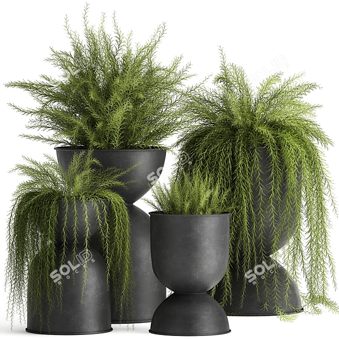 Exotic Black Pot Plant Collection 3D model image 1