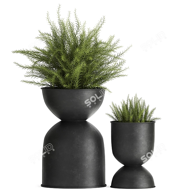 Exotic Black Pot Plant Collection 3D model image 2