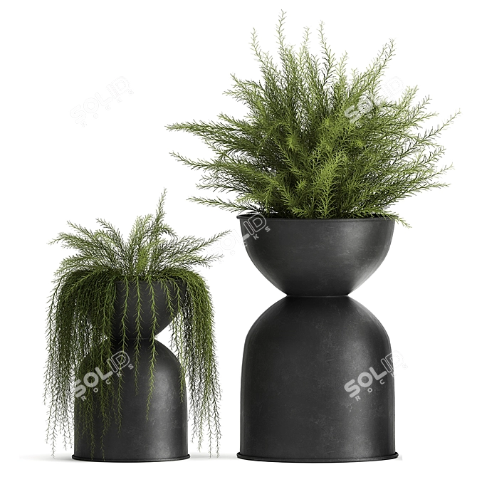 Exotic Black Pot Plant Collection 3D model image 4