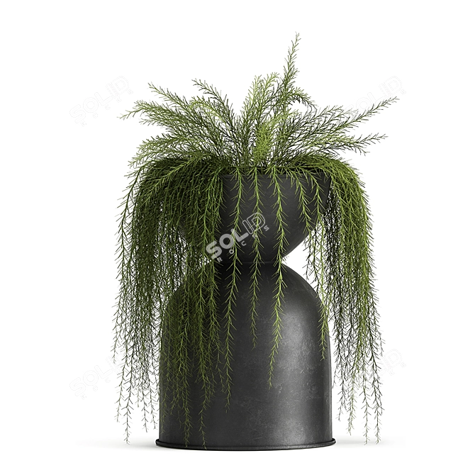 Exotic Black Pot Plant Collection 3D model image 5