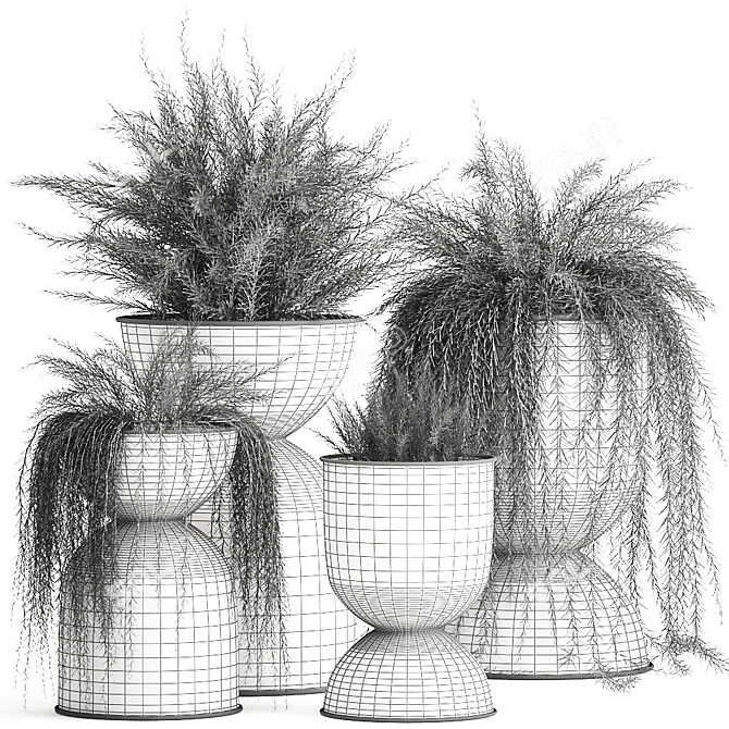 Exotic Black Pot Plant Collection 3D model image 6