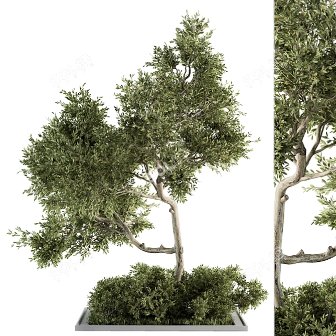 Evergreen Garden Set 13 - Transform Your Garden! 3D model image 1