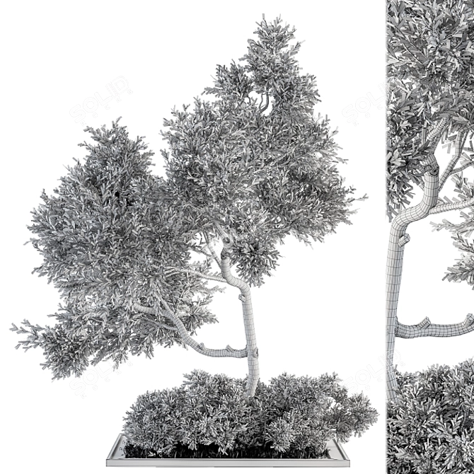 Evergreen Garden Set 13 - Transform Your Garden! 3D model image 5