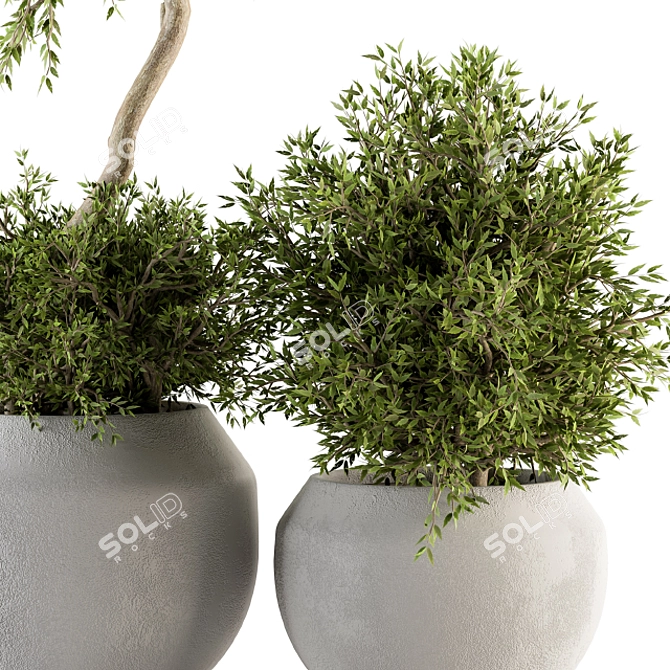 Green Oasis: Outdoor Plant Set 3D model image 3