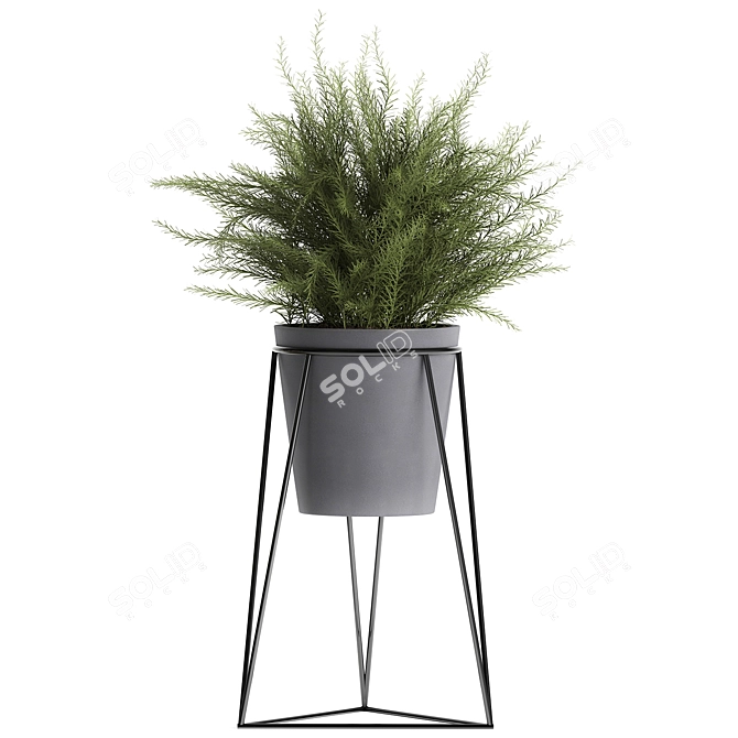 Tropical Plant Collection for Indoor and Outdoor Décor 3D model image 4