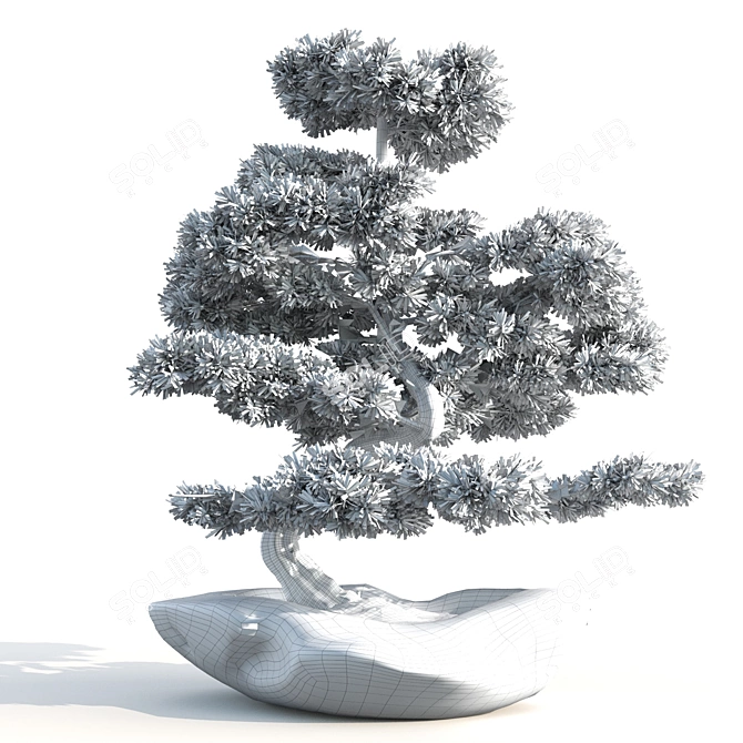 Bonsai03: Realistic 3D Plant Model 3D model image 4