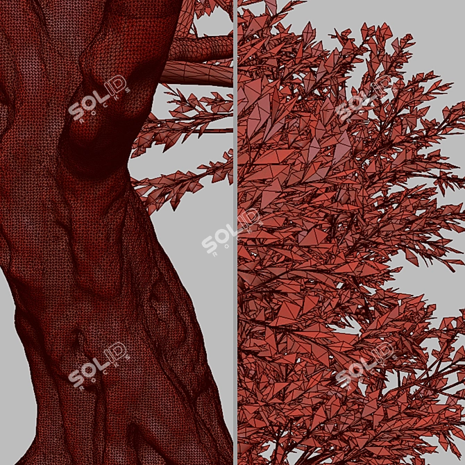 Mediterranean Duo: 2 Olive Trees 3D model image 6