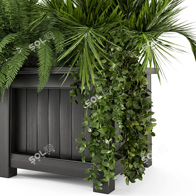 Outdoor Plants Set with Wooden Pot 3D model image 6