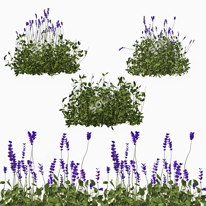 Ultimate Outdoor Bush Set 3D model image 1