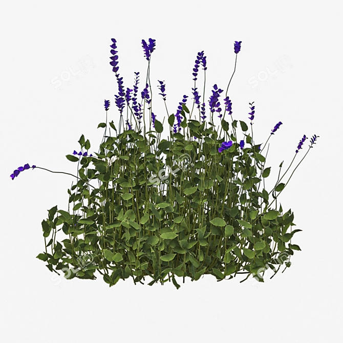 Ultimate Outdoor Bush Set 3D model image 3