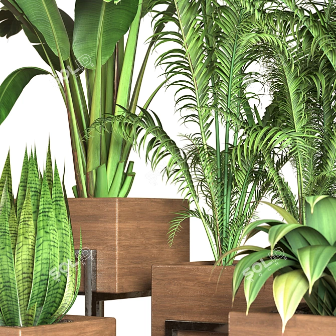 Indoor Oasis: 5 Floral Delights 3D model image 3