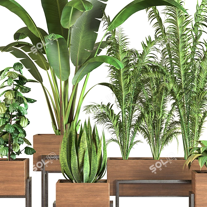 Indoor Oasis: 5 Floral Delights 3D model image 4