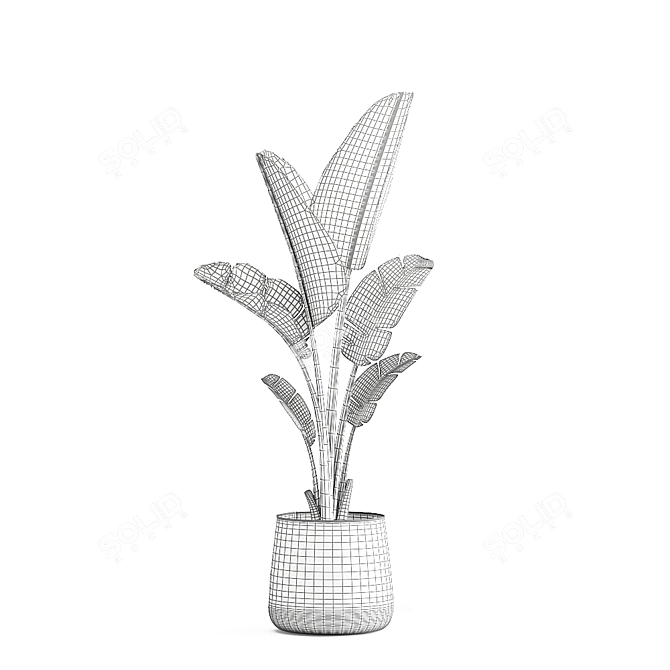 Tropical Plant Collection in Artisan Iron Pots 3D model image 6