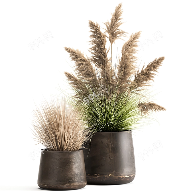 Exotic Plant Collection: Repurposed Iron Pot 3D model image 5