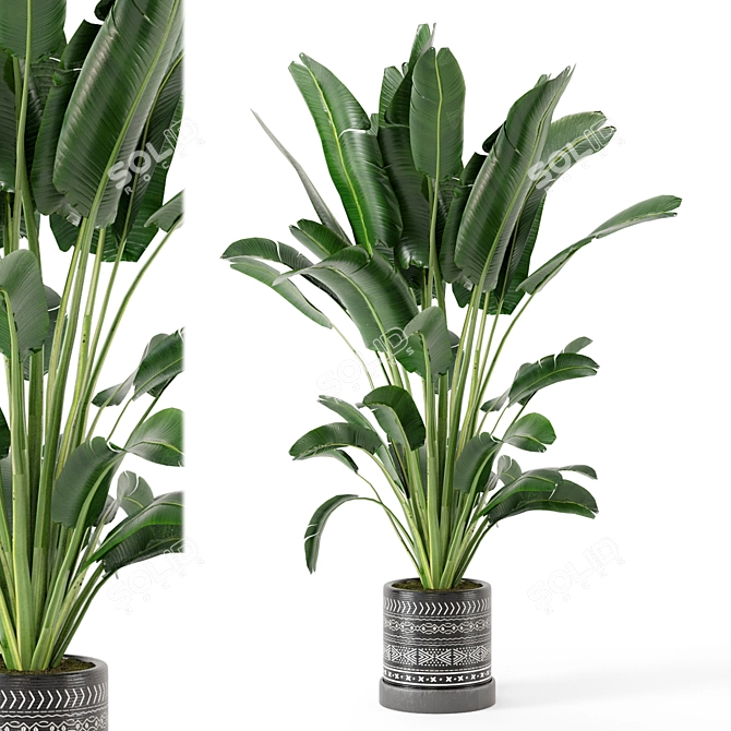 Concrete Pot Indoor Plant Set 3D model image 1