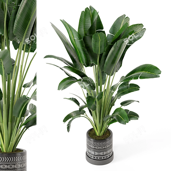 Concrete Pot Indoor Plant Set 3D model image 2