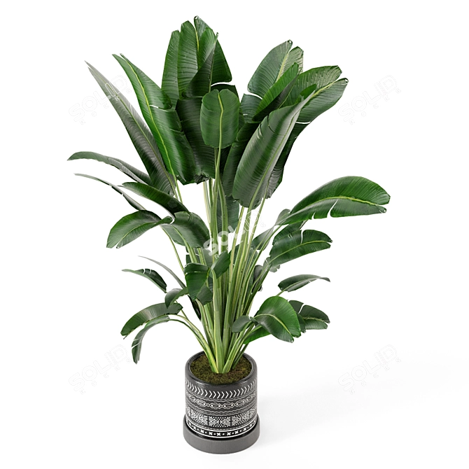 Concrete Pot Indoor Plant Set 3D model image 6