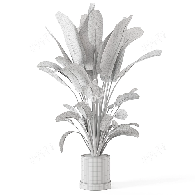 Concrete Pot Indoor Plant Set 3D model image 7